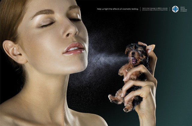 coree-du-sud-tests-animaux-interdits-cosmetiques-asiatiques