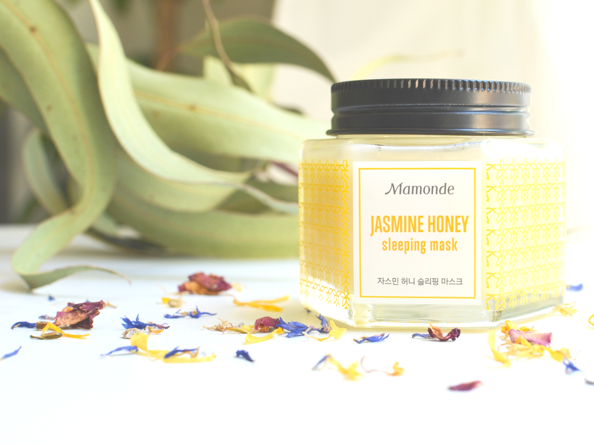 mamonde-jasmine-honey-sleeping-pack-blog
