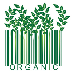 organic-beauty-korea