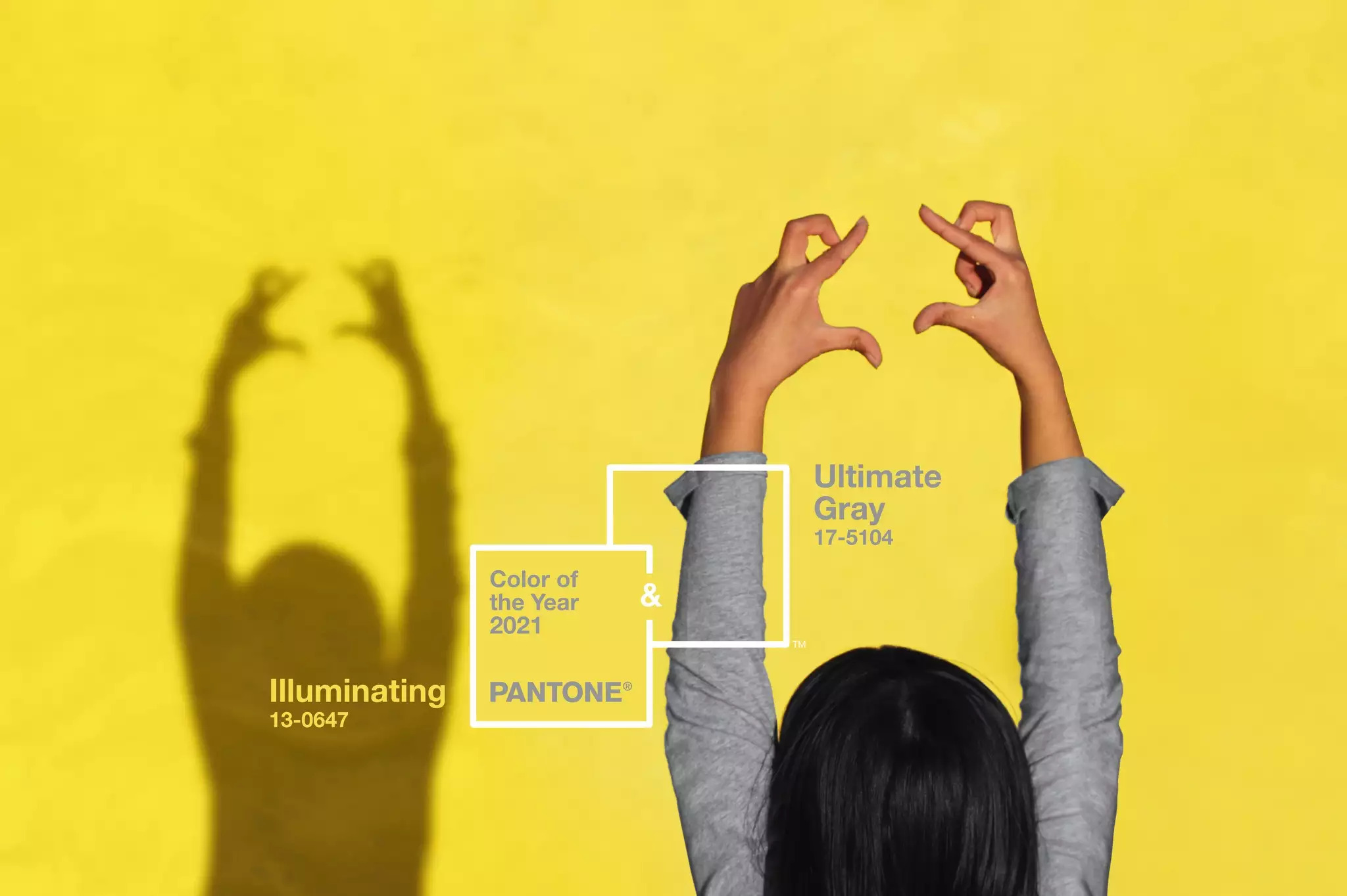 pantone-couleur-de-lannee-2021